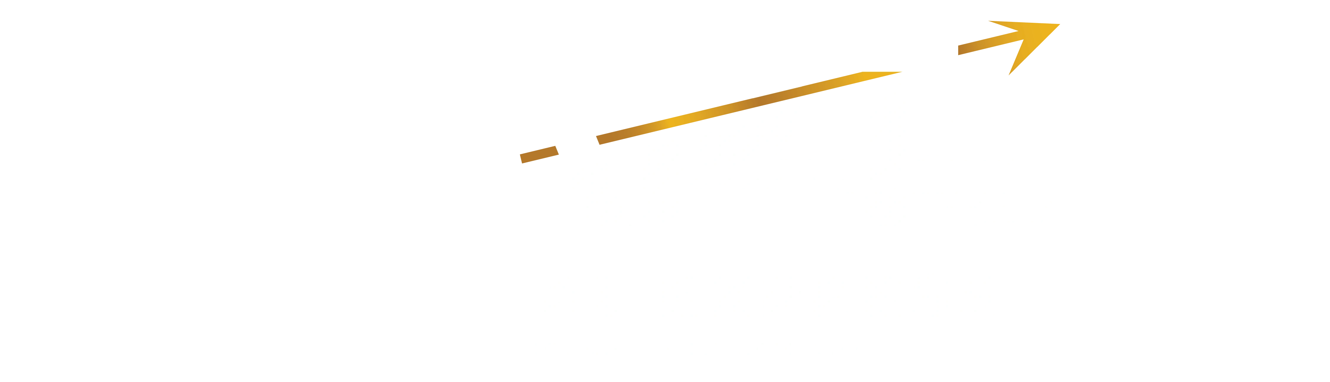 APT Digital Express